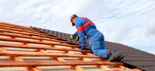 Best Roof Replacement  in Doniphan, MO