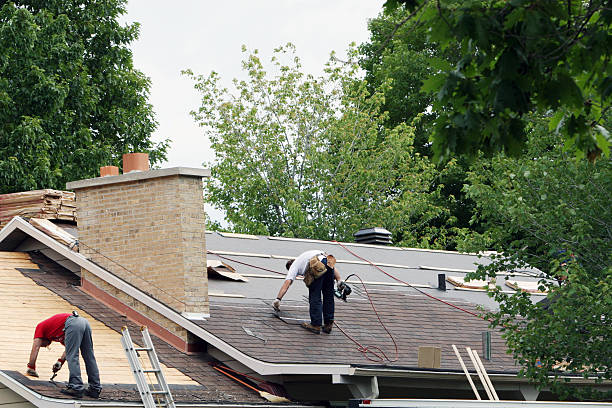 Best Chimney Flashing Repair  in Doniphan, MO